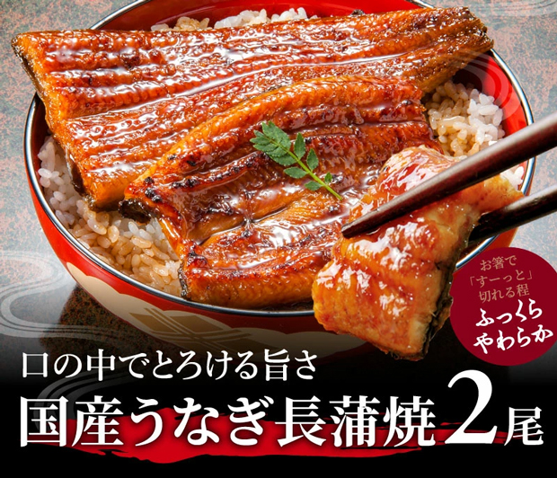国産うなぎ長蒲焼2尾